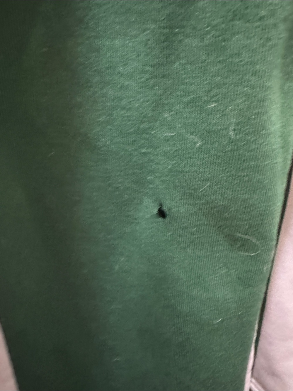 Sumwon sweatpants - Picture 4 of 5